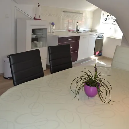 Apartament Branko
